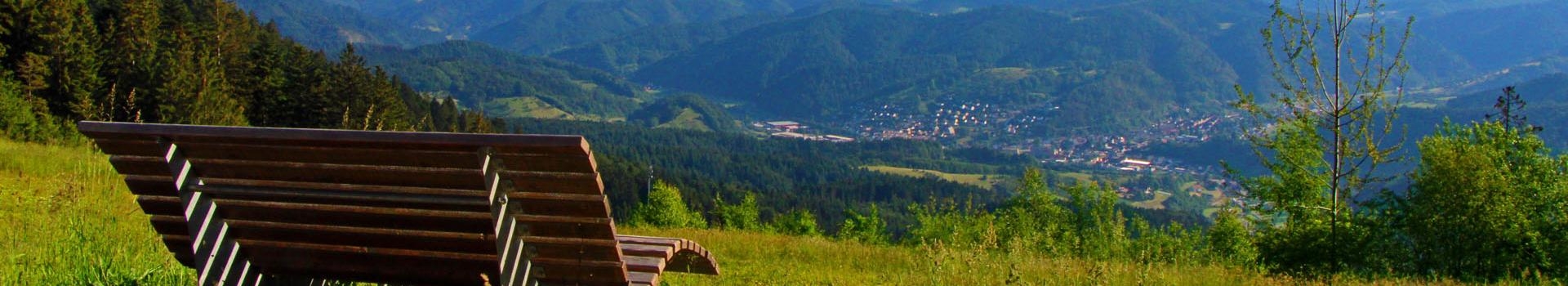 Blick vom Ibacher Holzplatz Links vorne steht eine Sitzbank auf einer Wiese, im Hintergrund sind die Schwarzwaldberge und Oppenau zu sehen