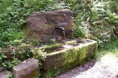 Sandsteinbrunnen mit Moos bewachsener Brunnen aus Sandstein