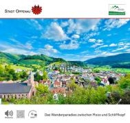 Vorderseite der Bürgerinformationsbroschüre Vorderseite der Bürgerinformationsbroschüre