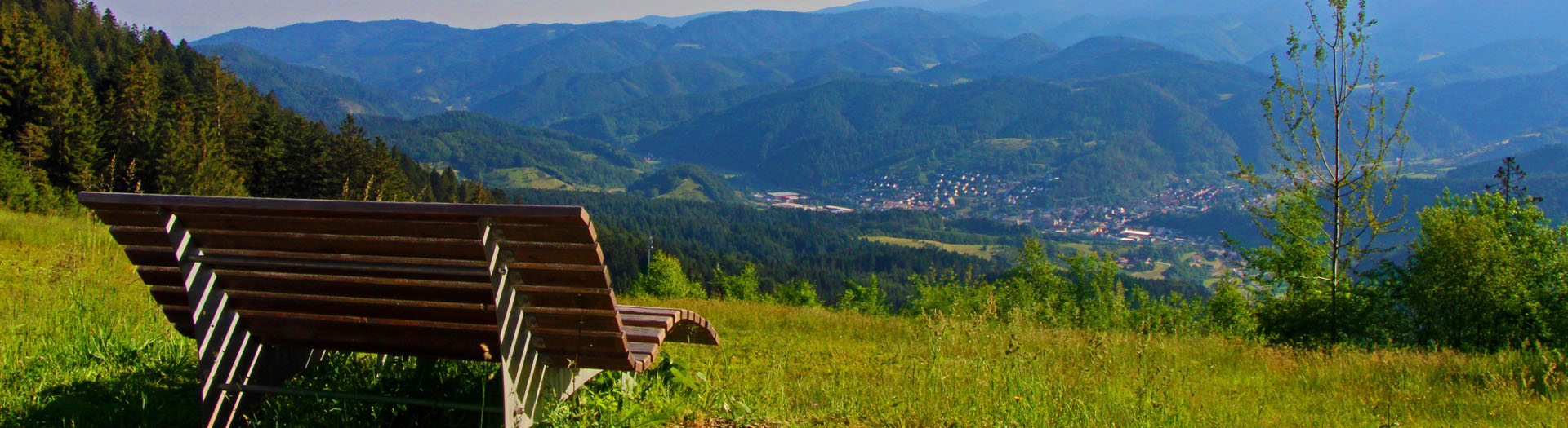 Links vorne steht eine Sitzbank auf einer Wiese, im Hintergrund sind die Schwarzwaldberge und Oppenau zu sehen